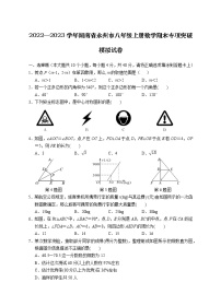 2022—2023学年湖南省永州市八年级上册数学期末专项突破模拟试卷（含解析）