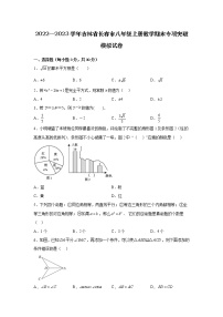 2022—2023学年吉林省长春市八年级上册数学期末专项突破模拟试卷（含解析）