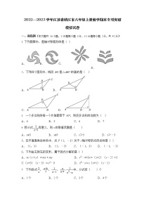 2022—2023学年江苏省镇江市八年级上册数学期末专项突破模拟试卷（含解析）