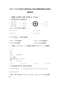 2022—2023学年辽宁省丹东市八年级下册数学期末专项提升模拟试卷（含解析）