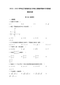 2022—2023学年辽宁省锦州市八年级上册数学期中专项突破模拟试卷（含解析）