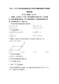 2022—2023学年山东省滨州市八年级下册数学期中专项突破模拟试卷（含解析）