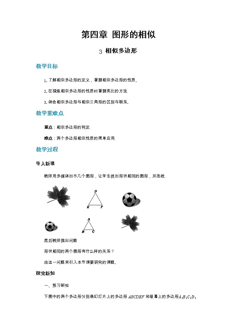 北师大版数学九上·4.3 相似多边形（课件+教案含练习）01