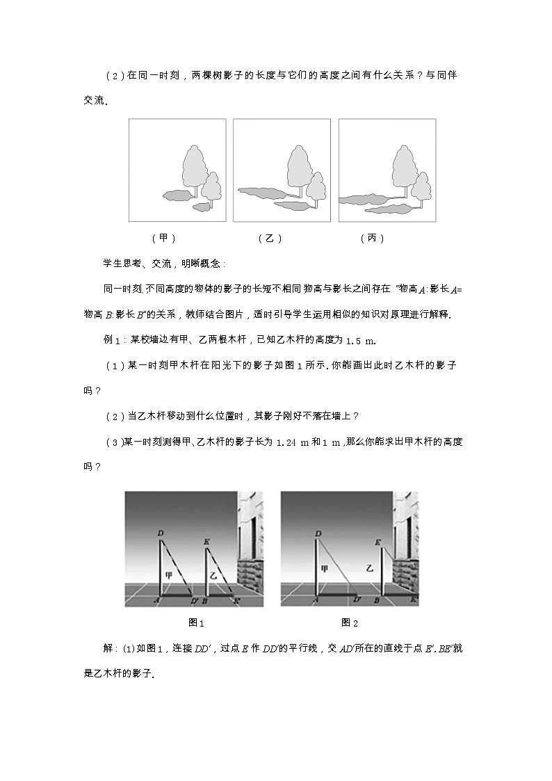 北师大版数学九上·5.1 投影（第2课时）（课件+教案含练习）03