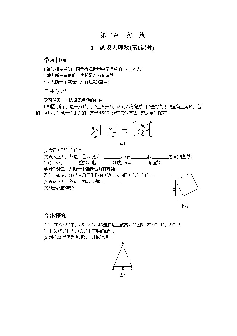 北师大版数学八上·2.1 认识无理数（第1课时）（课件+教案+学案+练习）01