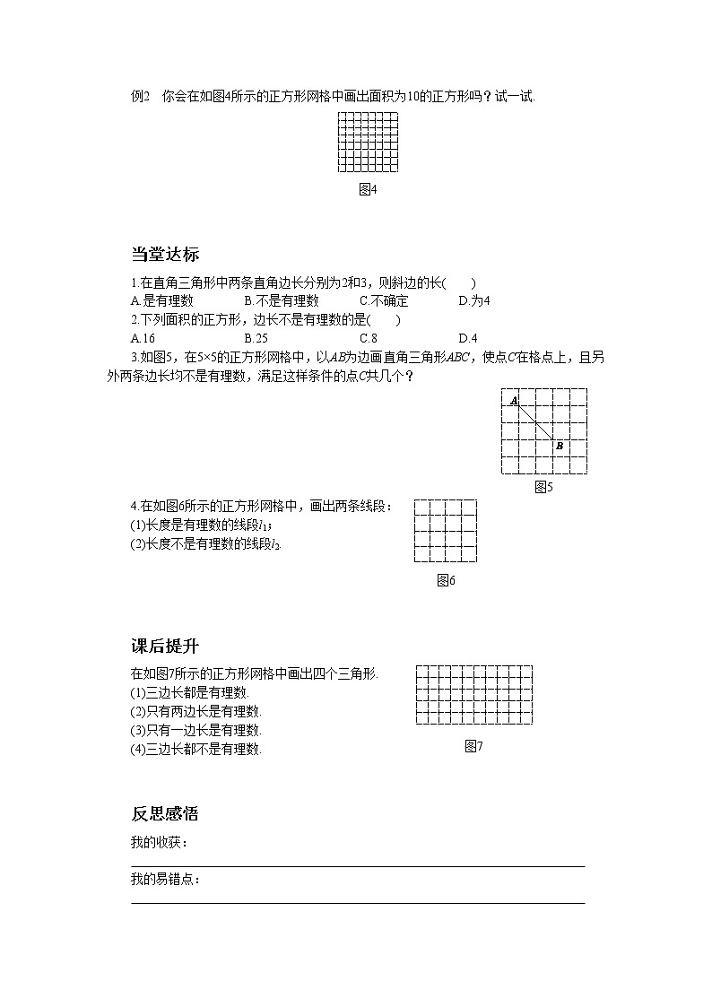 北师大版数学八上·2.1 认识无理数（第1课时）（课件+教案+学案+练习）02