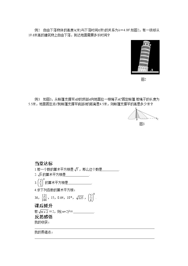 北师大版数学八上·2.2 平方根（第1课时）（课件+教案+学案+练习）02