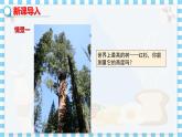 冀教版數(shù)學九上 25.6 相似三角形的應用（第1課時） 教學課件+教案