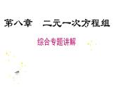 第8章《二元一次方程组》人教版七年级数学下册专题复习课件