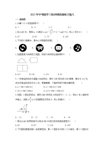 2023年中考数学三轮冲刺巩固练习卷八(含答案)