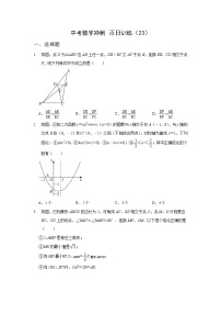 2023年九年级中考数学冲刺百日训练（23）