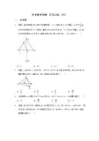 2023年九年级中考数学冲刺百日训练（25）