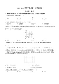 2023年河南省洛阳市宜阳县九年级第一次学情诊断数学试题（含答案）