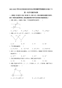 江苏省泰州市兴化市常青藤学校联盟2022-2023学年七年级下学期第一次月考数学试卷（含答案）