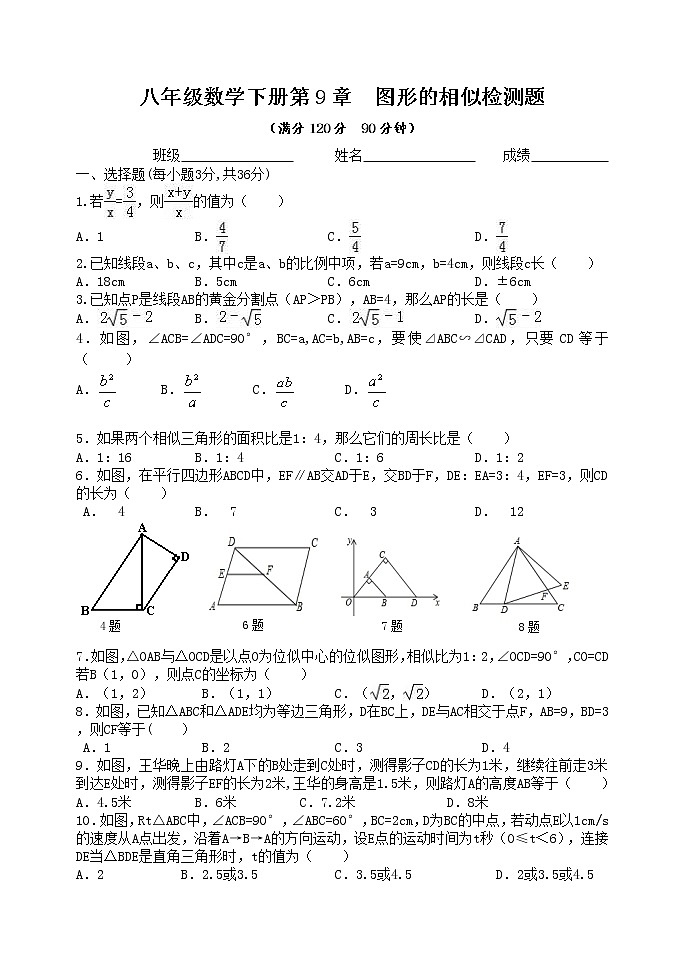 泰山区泰山实验中学2023年八年级第二学期第九章图形的相似单元检测题和答案01