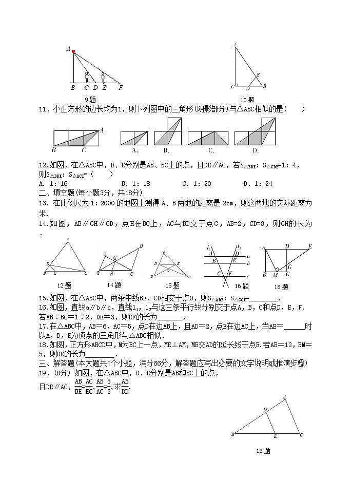 泰山区泰山实验中学2023年八年级第二学期第九章图形的相似单元检测题和答案02