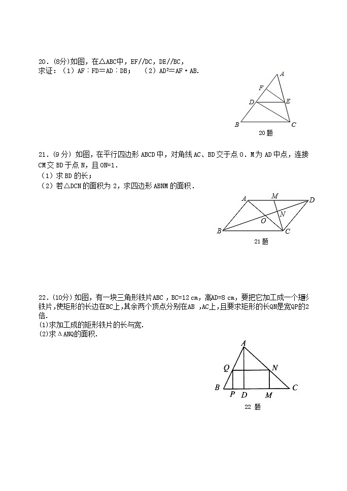 泰山区泰山实验中学2023年八年级第二学期第九章图形的相似单元检测题和答案03