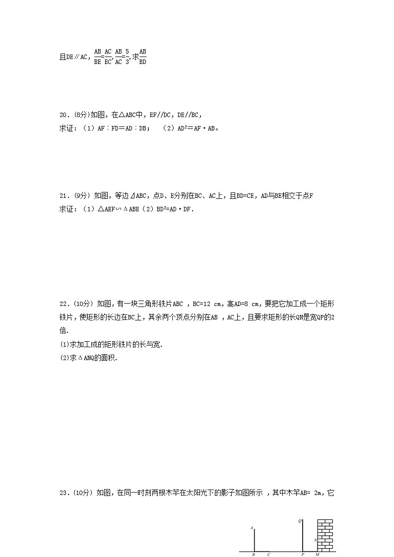 泰山区第六中学2023年八年级第二学期第九章图形的相似和答案 试卷03