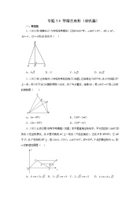 专题5.9 等腰三角形（培优篇）-【挑战满分】2023年中考数学总复习精选精练（全国通用）