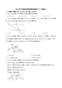 2023年中考数学精选真题实战测试31 三角形 A