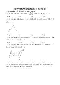 2023年中考数学精选真题实战测试48 图形的相似 B