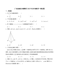 广东省汕头市潮阳区2023年九年级数学一模试题