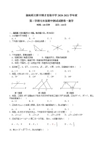 湖南省长沙市2020-2021七下师大博才期中考试（带答案）