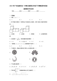 2023年广东省惠州市一中教育集团九年级下学期阶段性质量监测数学科试卷（含答案）