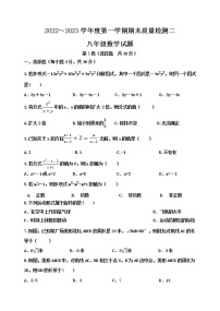 泰安市泰山区望岳中学八年级数学上册期末测试试题（2）和答案