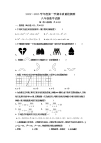 泰安市泰山区望岳中学八年级数学上册期末测试试题（4）和答案