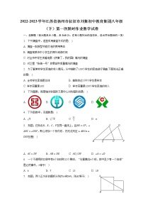 2022-2023学年江苏省扬州市仪征市刘集初中教育集团八年级（下）第一次限时作业数学试卷（含解析）