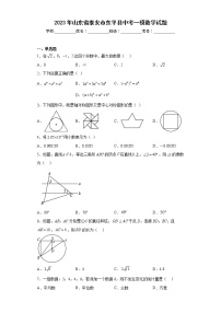 2023年山东省泰安市东平县中考一模数学试题（含详细答案）