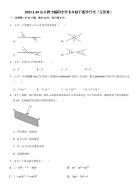 2023.3.24山大附中瀚阳中学七年级下数学月考（无答案）