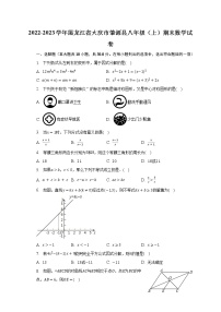 2022-2023学年黑龙江省大庆市肇源县八年级（上）期末数学试卷（含解析）