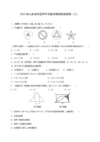 2023年山东省枣庄市中考数学模拟测试试卷（二）（含答案）