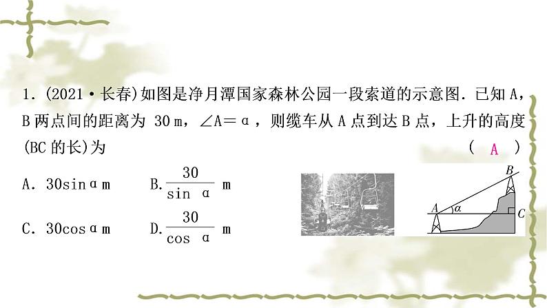 中考数学复习方法技巧突破(六)解直角三角形之四大模型作业课件第2页