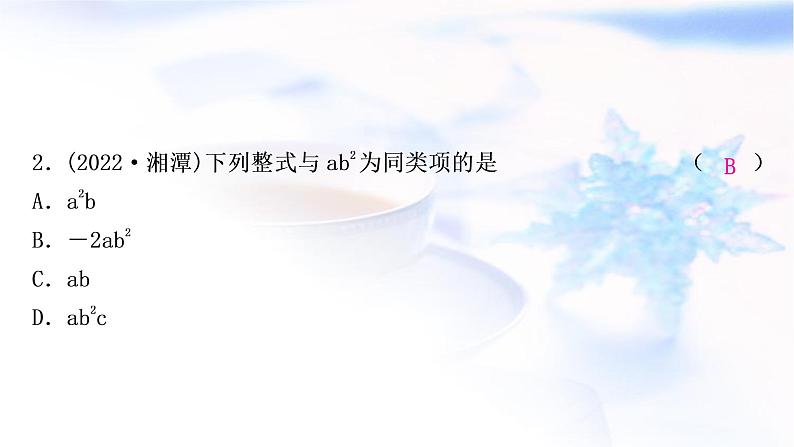 中考数学复习第一章数与式第三节代数式、整式与因式分解作业课件03