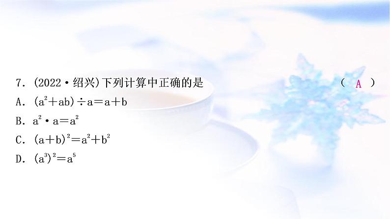 中考数学复习第一章数与式第三节代数式、整式与因式分解作业课件08