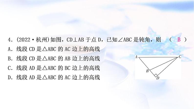 中考数学复习第四章三角形第二节一般三角形及其性质作业课件05