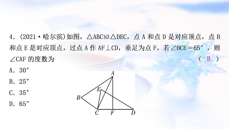 中考数学复习第四章三角形第四节全等三角形作业课件第5页