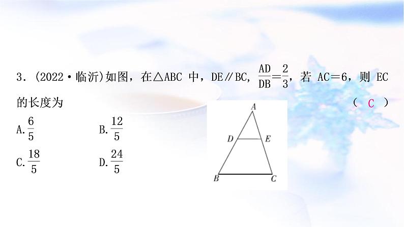 中考数学复习第四章三角形第五节图形的相似作业课件第4页