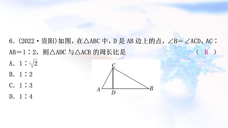 中考数学复习第四章三角形第五节图形的相似作业课件第7页