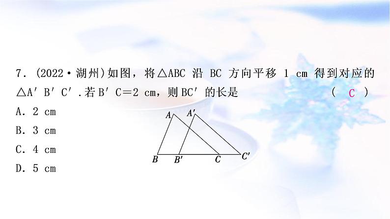 中考数学复习第七章作图与图形变换第三节图形的平移、旋转、对称与位似作业课件08