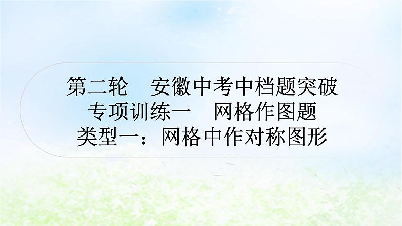 中考数学复习专项训练一网格作图题类型一网格中作对称图形作业课件第1页