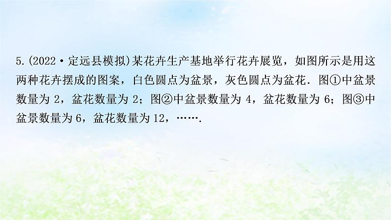 中考数学复习专项训练二规律探索题类型三图形规律探索作业课件02