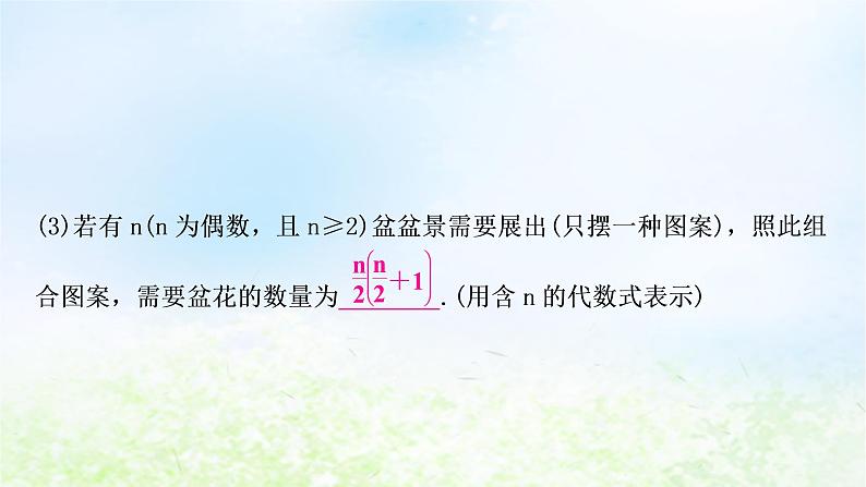 中考数学复习专项训练二规律探索题类型三图形规律探索作业课件05