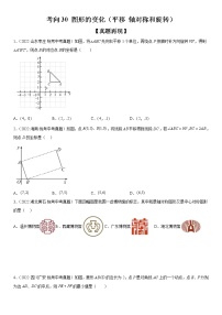 2023年中考数学一轮复习考点30 图形的变化（平移 轴对称和旋转）试卷