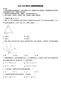 数学7.2 实验当堂达标检测题