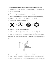 2023年山东省菏泽市成武县育青中学中考数学一模试卷（含解析）