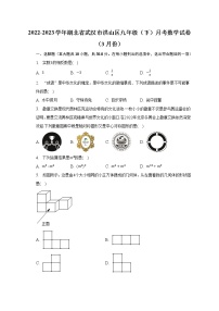 2022-2023学年湖北省武汉市洪山区九年级（下）月考数学试卷（3月份）（含解析）